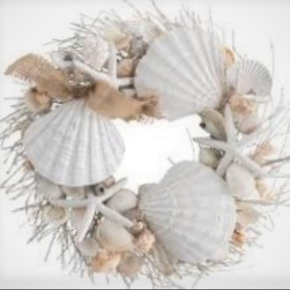 seashell234